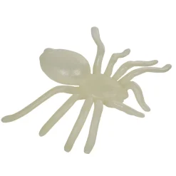 Araignée phosphorescente