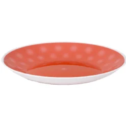 Assiette plastique couleur