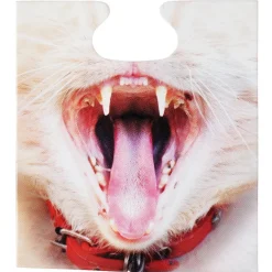 Bombe de table Accessoires de fête Photobooth