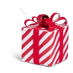 Cadeau décoratif L8x8x11cm - 2 modèles