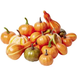 Citrouille pomme pin gland décoratif Halloween x42