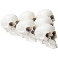 Crâne déco Halloween blanc x6