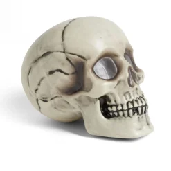 Crâne décoration Halloween 19x15xH16cm
