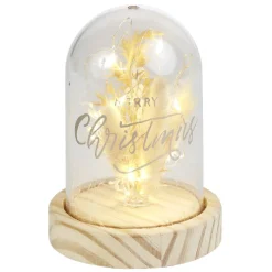 Dôme fleurs séchées sous cloche Merry Christmas à LED Ø9xH13cm