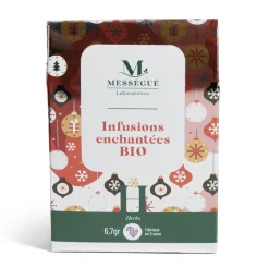 Lot de 5 infusettes Noël - modèle 1