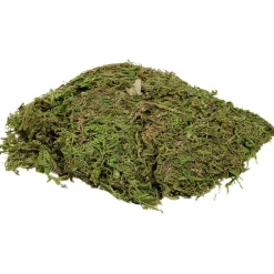 Mousse pour crèche de Noël vert 50g