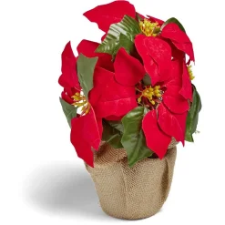 Poinsettia lumineux H23cm