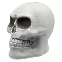 Squelette à planter