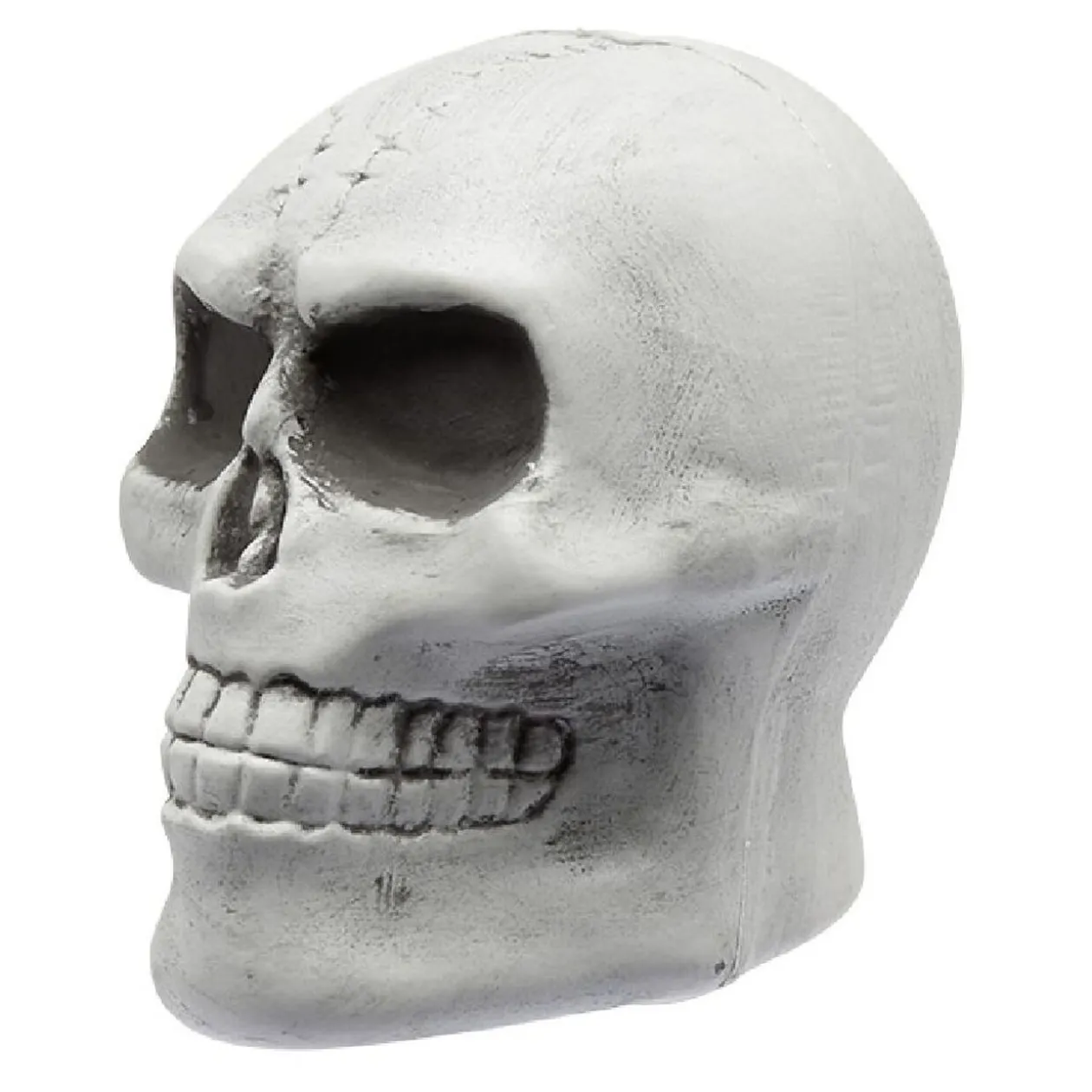 Squelette à planter