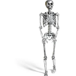 Squelette articulé Halloween H150cm plastique argenté