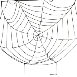 Toile d araignée noire