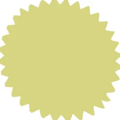 Tulle verte pour dragées x20